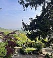 Fotografia
